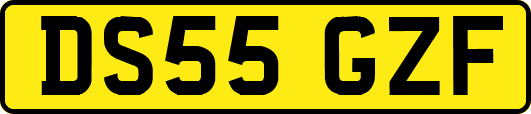 DS55GZF