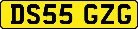 DS55GZG