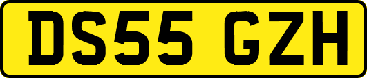 DS55GZH
