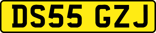 DS55GZJ
