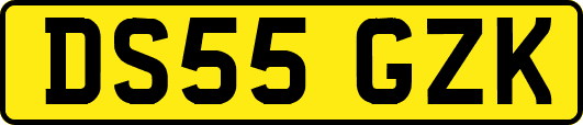 DS55GZK