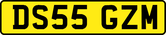 DS55GZM
