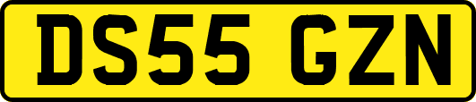 DS55GZN
