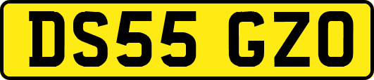 DS55GZO