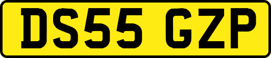 DS55GZP