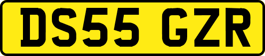DS55GZR