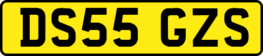 DS55GZS