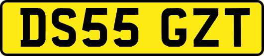 DS55GZT