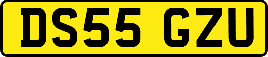 DS55GZU