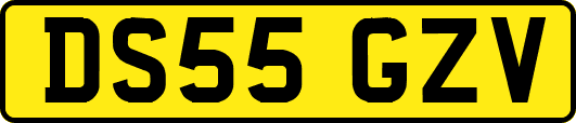 DS55GZV