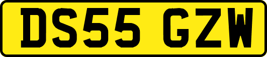 DS55GZW