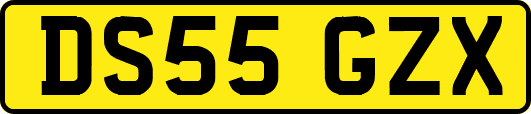 DS55GZX
