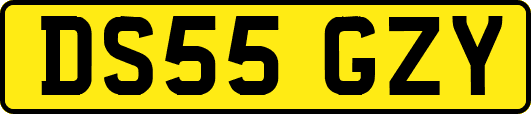 DS55GZY