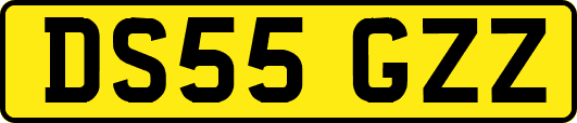 DS55GZZ