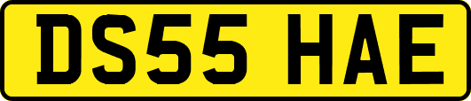 DS55HAE