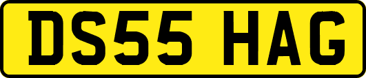 DS55HAG
