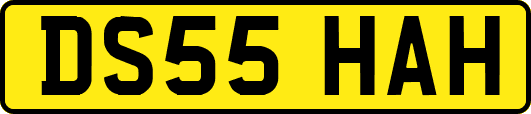 DS55HAH