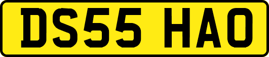 DS55HAO