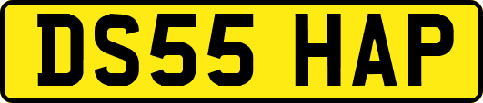 DS55HAP
