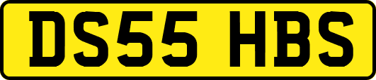 DS55HBS
