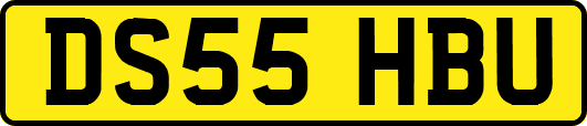 DS55HBU