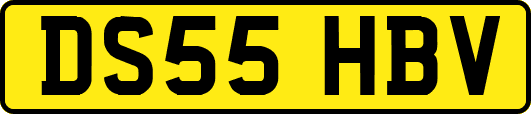DS55HBV