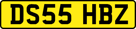 DS55HBZ