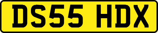 DS55HDX