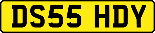 DS55HDY