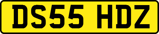 DS55HDZ