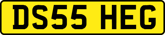 DS55HEG