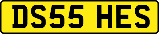 DS55HES