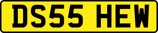 DS55HEW
