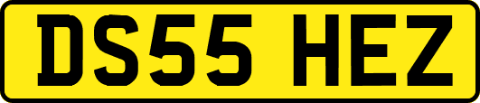 DS55HEZ