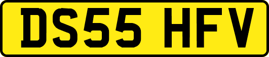 DS55HFV