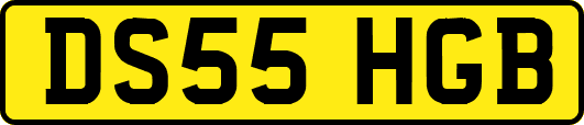 DS55HGB