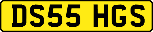 DS55HGS