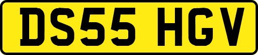 DS55HGV
