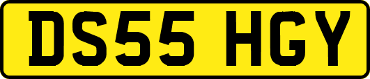 DS55HGY