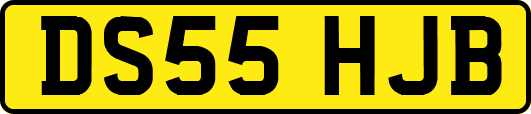 DS55HJB