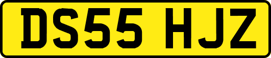 DS55HJZ