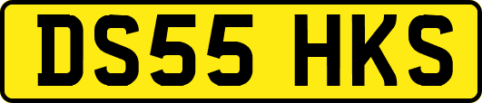 DS55HKS