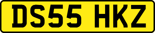 DS55HKZ