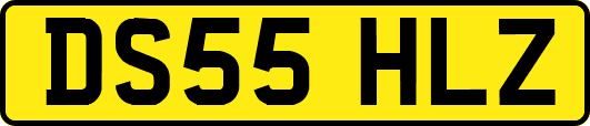 DS55HLZ
