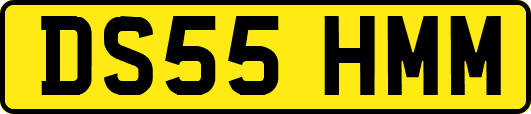 DS55HMM