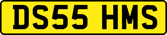 DS55HMS