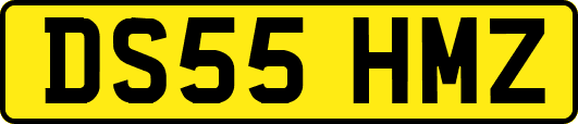 DS55HMZ