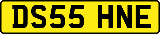DS55HNE
