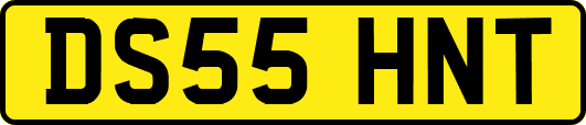 DS55HNT