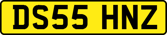 DS55HNZ